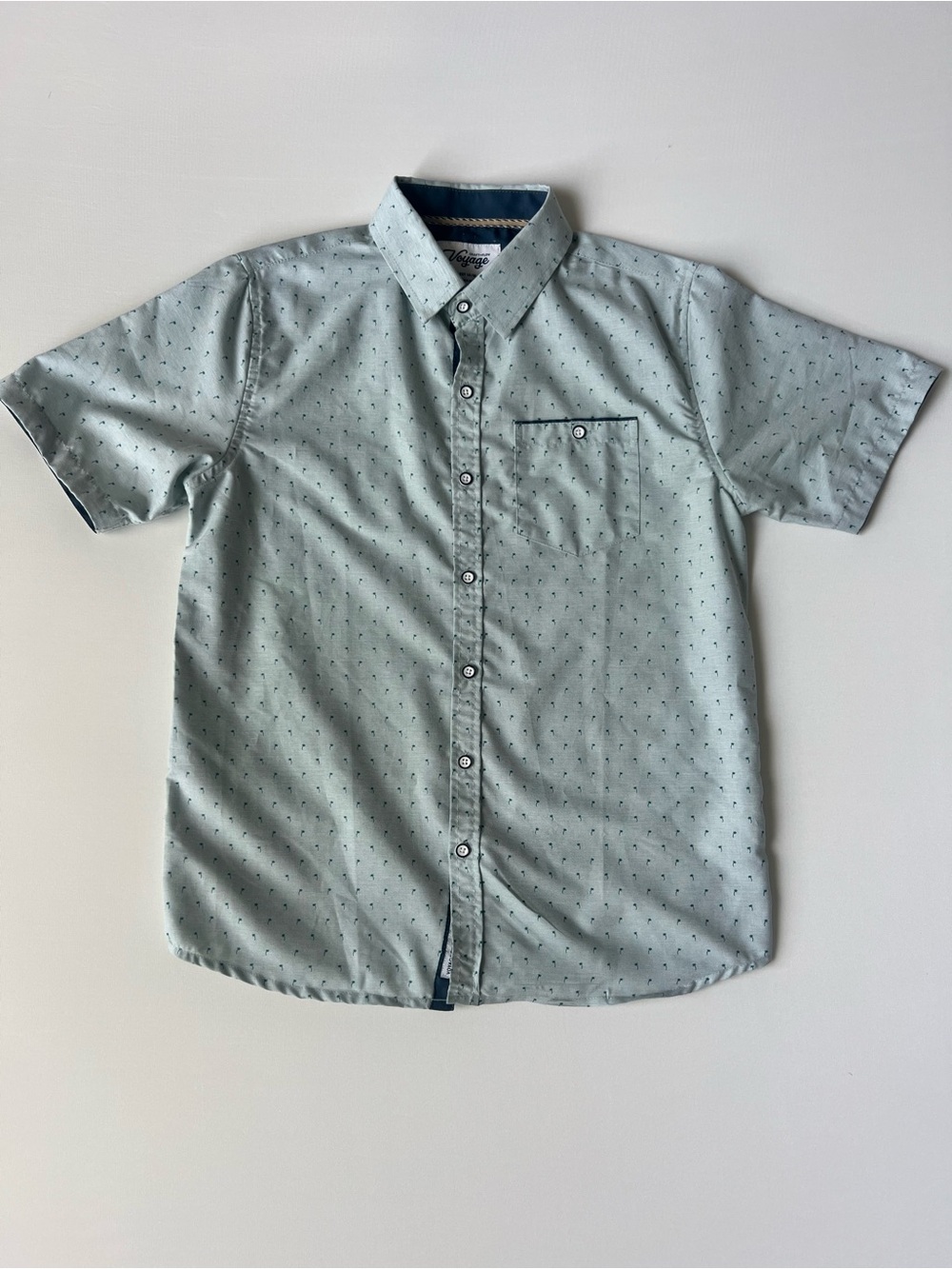 Boys' Light Mint Short-Sleeve Button-Down Shirt with Micro Dot Print